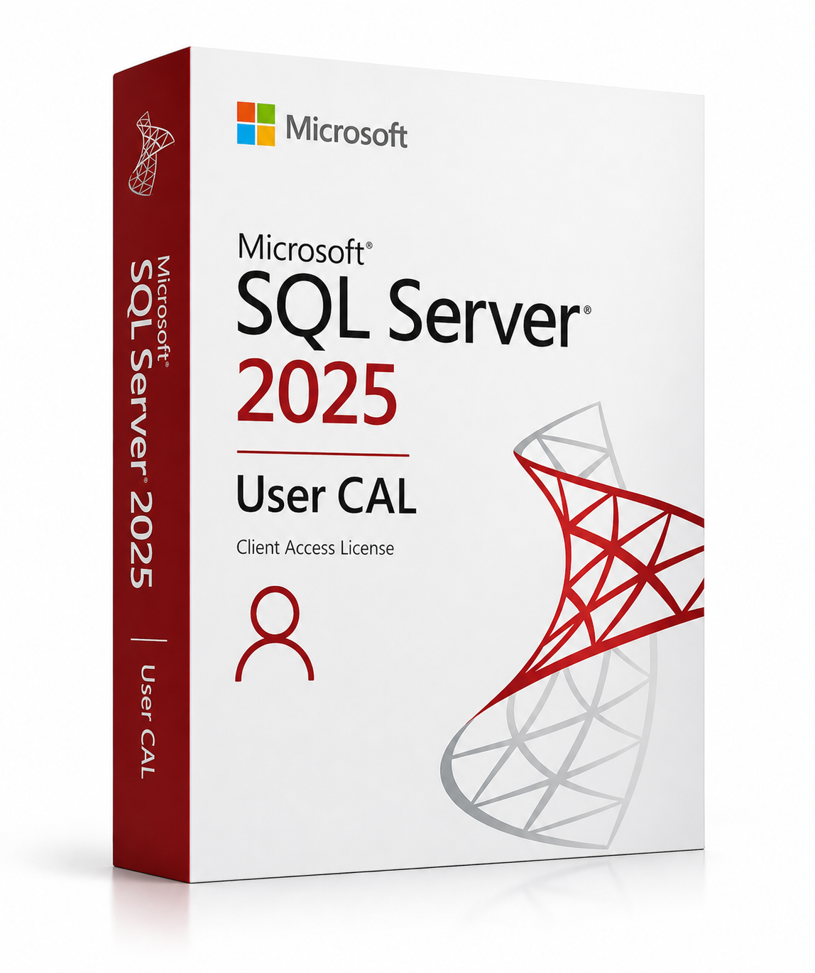 Microsoft SQL Server 2025 - 1 User Client Access License (CAL)