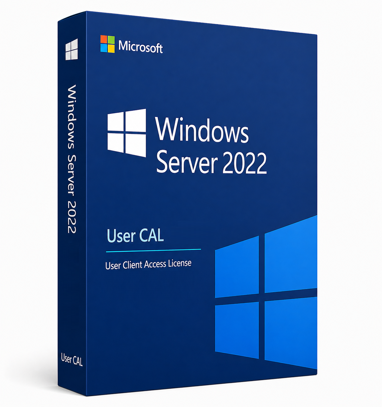 Microsoft Windows Server 2022 - 1 User Client Access License (CAL)
